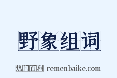 野象组词是什么意思的图片